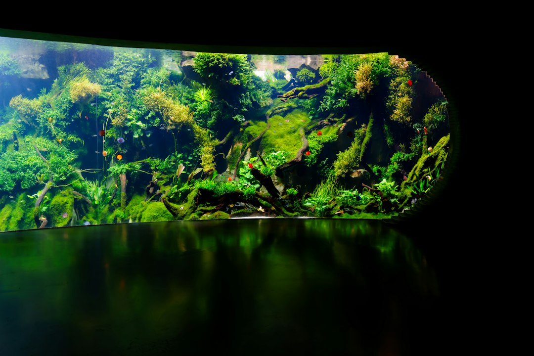 Visual illustration for lampu led aquascape nano terbaik